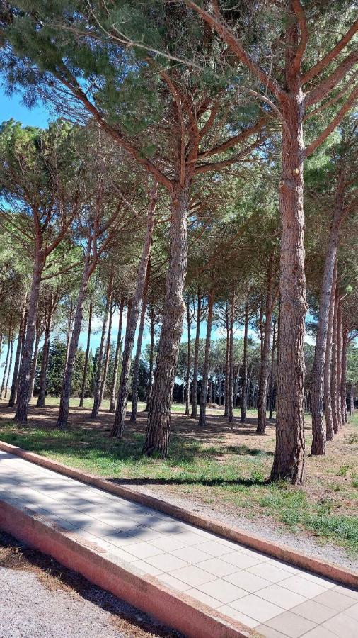 Cocon De Douceur A 10 Min De La Plage Alénya Exteriör bild
